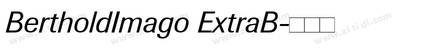 BertholdImago ExtraB字体转换 BertholdImago ExtraB字体转换